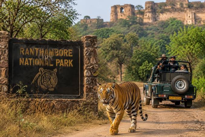 Ranthambore